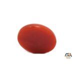 Red Coral 2.6 Carat (2.86 Ratti) - Image 2