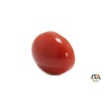 Red Coral 2.6 Carat (2.86 Ratti) - Image 4
