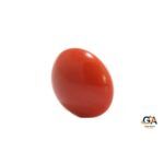 Red Coral 6.20 Carat (6.82 Ratti) - Image 2