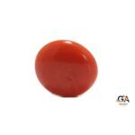 Red Coral 6.20 Carat (6.82 Ratti) - Image 4