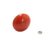 Red Coral 6.20 Carat (6.82 Ratti) - Image 5