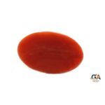 Red Coral 6.20 Carat (6.82 Ratti)