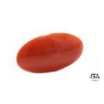 Red Coral 6.20 Carat (6.82 Ratti) - Image 3