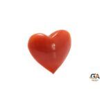 Red Coral 3.48 Carat (3.82Ratti) - Image 5