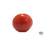 Red Coral 7.85 Carat (8.63 Ratti) - Image 3