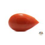 Red Coral 9.80Carat (10.78Ratti) - Image 5