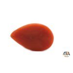 Red Coral 9.80Carat (10.78Ratti) - Image 6