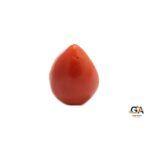 Red Coral 9.80Carat (10.78Ratti) - Image 2