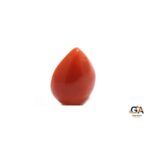 Red Coral 9.80Carat (10.78Ratti) - Image 4