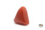 Red Coral (Moonga) 9.63Carat (10.59Ratti) - Image 3