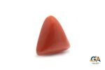 Red Coral (Moonga) 9.63Carat (10.59Ratti) - Image 4