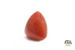 Red Coral (Moonga) 7.48Carat (8.22Ratti) - Image 3