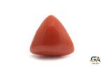 Red Coral (Moonga) 7.48Carat (8.22Ratti) - Image 4