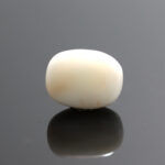 Natural White Coral 7.05 Carat (7.75 Ratti)