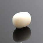 Natural White Coral 7.05 Carat (7.75 Ratti) - Image 3