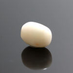 Natural White Coral 7.05 Carat (7.75 Ratti) - Image 4