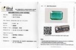 Emerald 8.09Carat (8.89Ratti) - Image 2