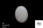 Opal 6.28 Carat (6.90 Ratti)