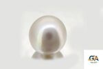 South Sea Pearl (Moti) 6.50 Carat (7.22 Ratti) - Image 3