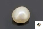 Natural Rare Quality Pearl (Moti) 9.36 Carat (10.40 Ratti) SSEF Certified - Image 4
