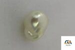 South Sea Pearl (Moti) 7.48 Carat (8.23 Ratti) - Image 2