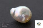 Natural Keshi Pearl (Moti) 14.82 Carat (16.30 Ratti) - Image 2
