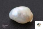 Natural Keshi Pearl (Moti) 14.47 Carat (15.91 Ratti) - Image 3