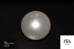 South Sea Pearl (Moti) 6.89 Carat (7.57 Ratti) - Image 2