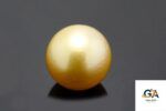 Golden South Sea Pearl (Moti) 7.64 Carat (8.40 Ratti) - Image 3