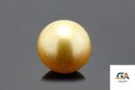 Golden South Sea Pearl (Moti) 7.94 Carat (8.73 Ratti) - Image 2