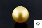 Golden South Sea Pearl (Moti) 11.95 Carat (13.14 Ratti) - Image 2