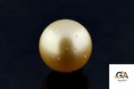 Golden South Sea Pearl (Moti) 10.51 Carat (11.56 Ratti) - Image 2