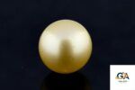 Golden South Sea Pearl (Moti) 10.50 Carat (11.55 Ratti)