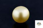 Golden South Sea Pearl (Moti) 10.50 Carat (11.55 Ratti) - Image 3