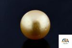 Golden South Sea Pearl (Moti) 11.05 Carat (12.16 Ratti) - Image 3