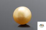Golden South Sea Pearl (Moti) 5.30 Carat (5.83 Ratti) - Image 3