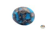 Turquoise (Firoza) 12.20 Carat (13.42 Ratti) - Image 3