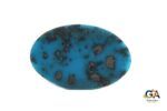 Turquoise (Firoza) 31.44 Carat (34.58 Ratti) - Image 2