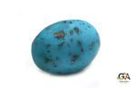 Turquoise (Firoza) 16.72Carat (18.39Ratti) - Image 3