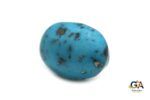 Turquoise (Firoza) 16.72Carat (18.39Ratti) - Image 4