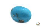 Turquoise (Firoza) 22.76Carat (25.03Ratti) - Image 3