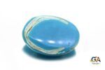 Turquoise (Firoza) 10.51 Carat (11.68 Ratti) - Image 3