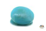 Turquoise (Firoza) 10.88 Carat (12.09 Ratti) - Image 4