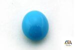 Turquoise (Firoza) 5.17 Carat (5.74 Ratti) - Image 4