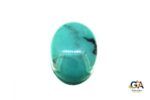 Turquoise (Firoza) 7.38 Carat (8.20 Ratti)