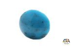 Turquoise (Firoza) 16.34Carat (17.97Ratti) - Image 4