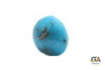Turquoise (Firoza) 16.32Carat (17.95Ratti) - Image 4