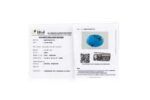 Turquoise (Firoza) 13.73Carat (15.10Ratti) - Image 2