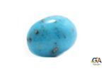 Turquoise (Firoza) 8.94Carat (9.83Ratti) - Image 3