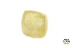 Yellow Sapphire 8.12Carat (8.93Ratti) - Image 3